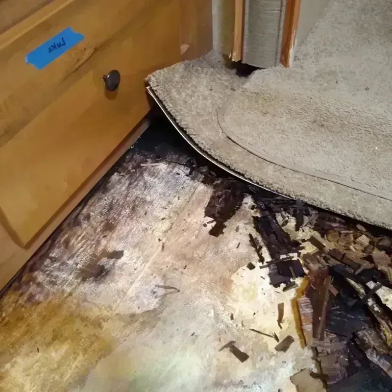 Best Wood Floor Water Damage Service in Maspeth, NY